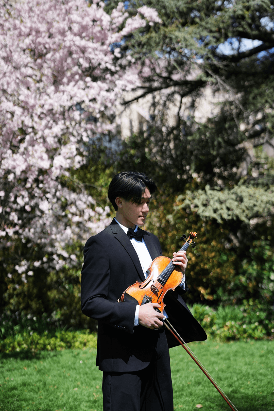 Bernie Sheng